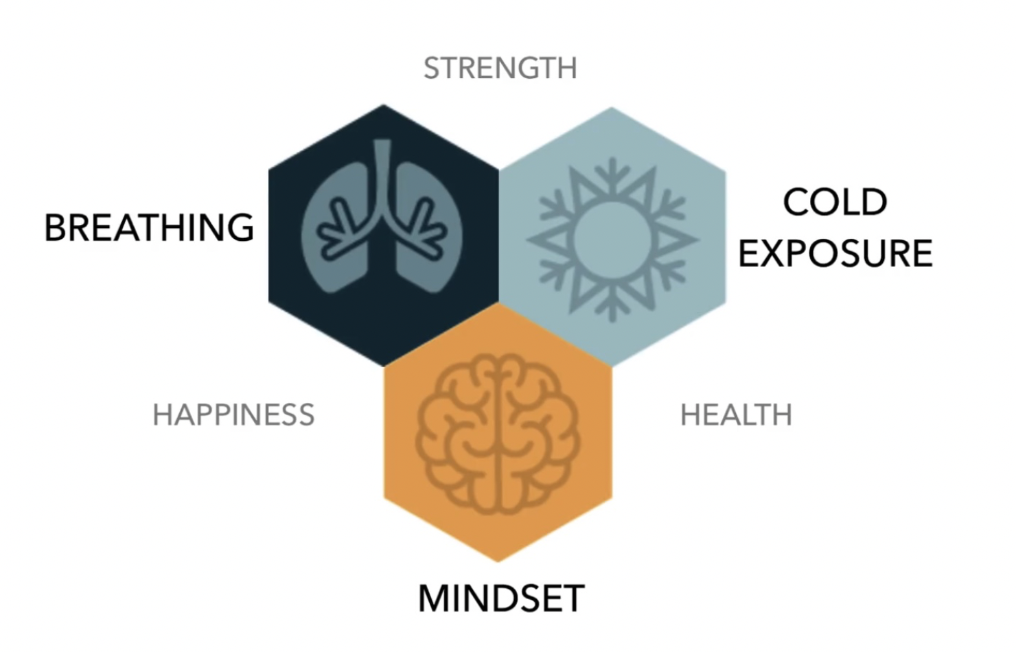 WIm Hof Method - Strength - Health - Happiness