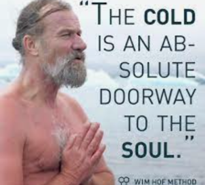The cold is an absolute doorway to the soul - wim hof quote
