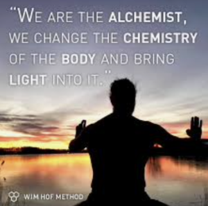 We are the alchemist; we change the chemistry of the body and bring light into it. wim hof quote
