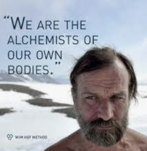 We are the alchemists of our own bodies - wim hof quote